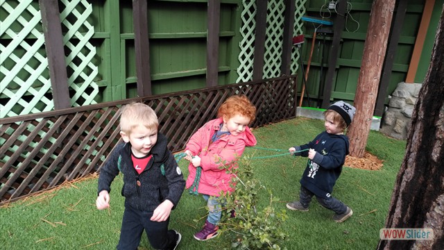 IMG_20190118_1219347 IMG_20190118_1219347