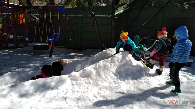 IMG_20190211_1139453 IMG_20190211_1139453